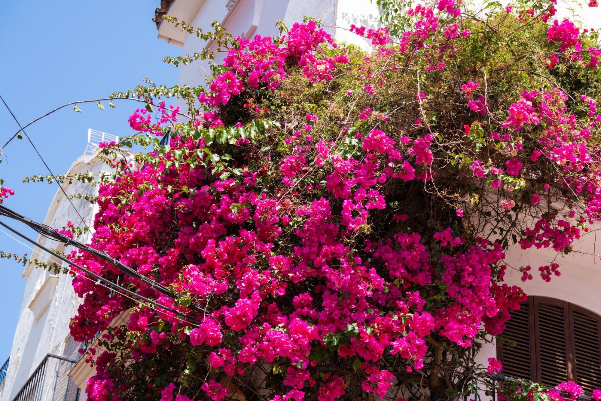 Apartamento Paraiso Del Mar Parking Y Piscina 454 Marbella