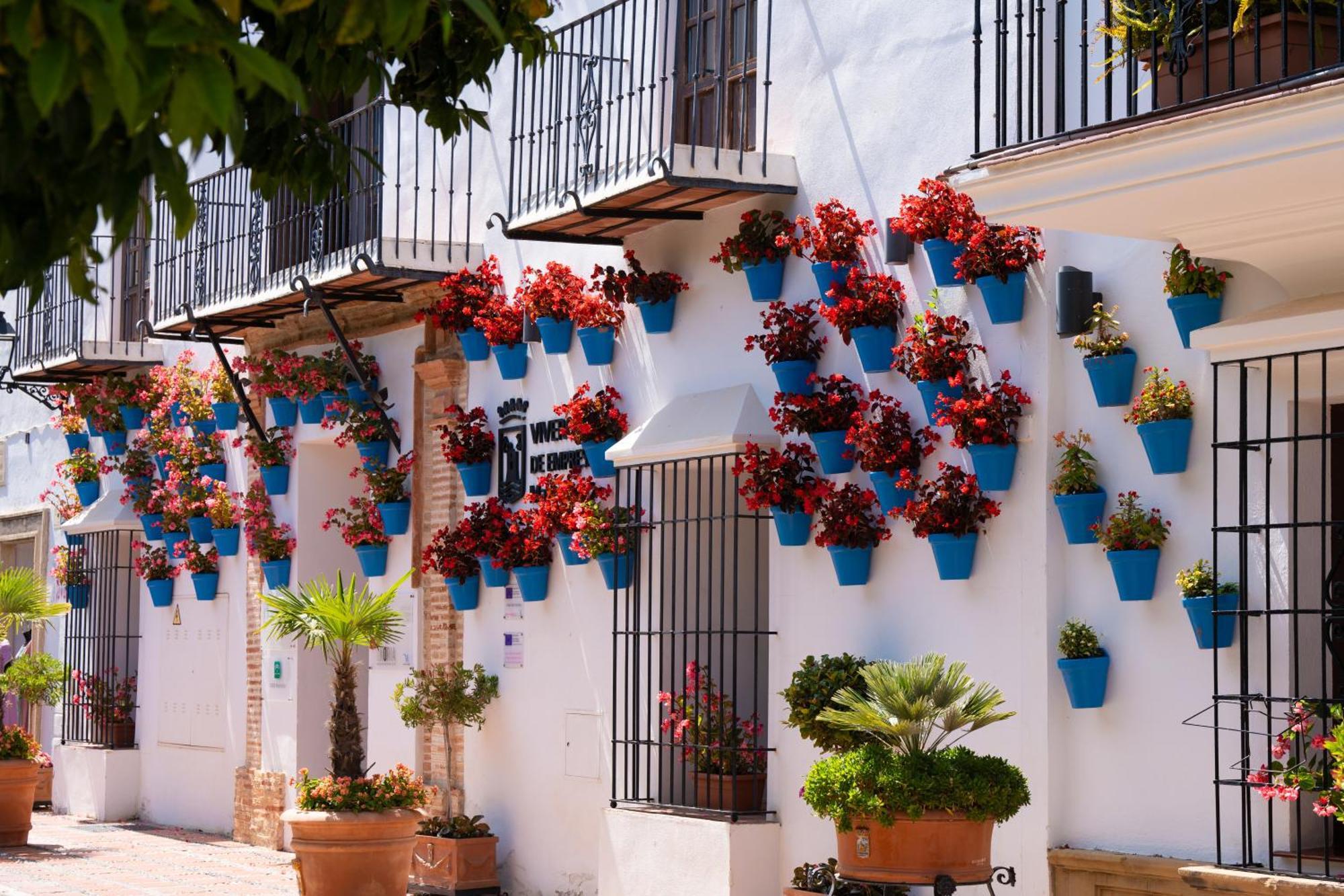 Paraiso Del Mar Parking Y Piscina 454 Appartement